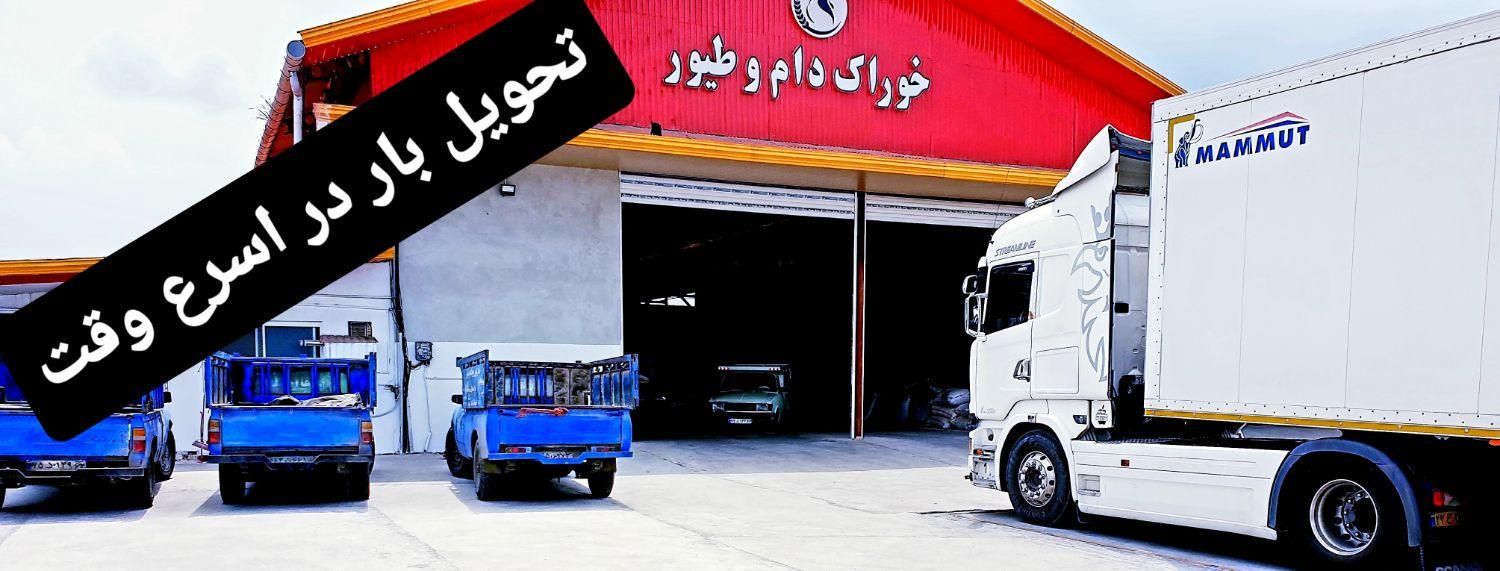 کارگر ساده با جا خواب|استخدام سرایداری و نظافت|قائمشهر, |دیوار