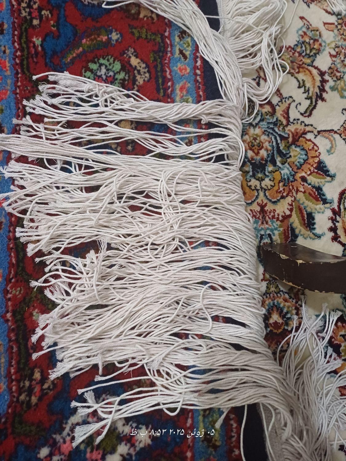 فرش کلاه فرنگ پرده ای|فرش|سنندج, |دیوار