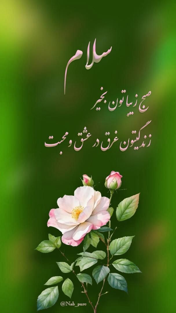آماده همکاری با آموزشگاه ها|خدمات آموزشی|رشت, دیلمان|دیوار