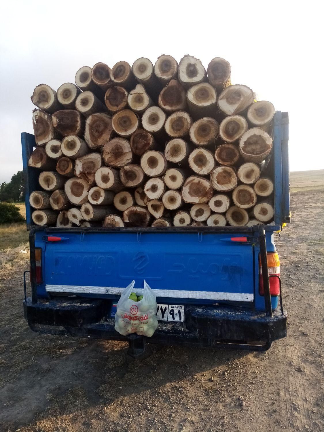 خرید و فروش انواع چوب ودرخت به|خدمات باغبانی و درختکاری|اردبیل, |دیوار