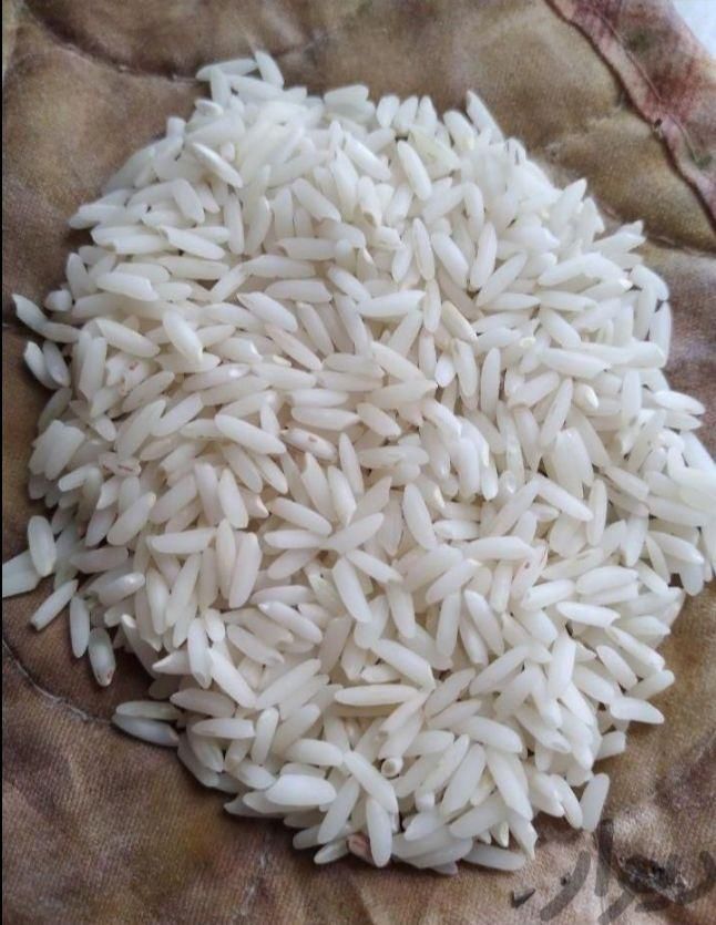 برنج هاشمی طارم نیم لاشه دودی با زعفران و عسل چای|خوردنی و آشامیدنی|اسلام‌شهر, زرافشان|دیوار