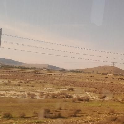 6عدد بالشت گمشدە در مسیر سقز تا ایرانخواە|رختخواب، بالش، پتو|سقز, |دیوار