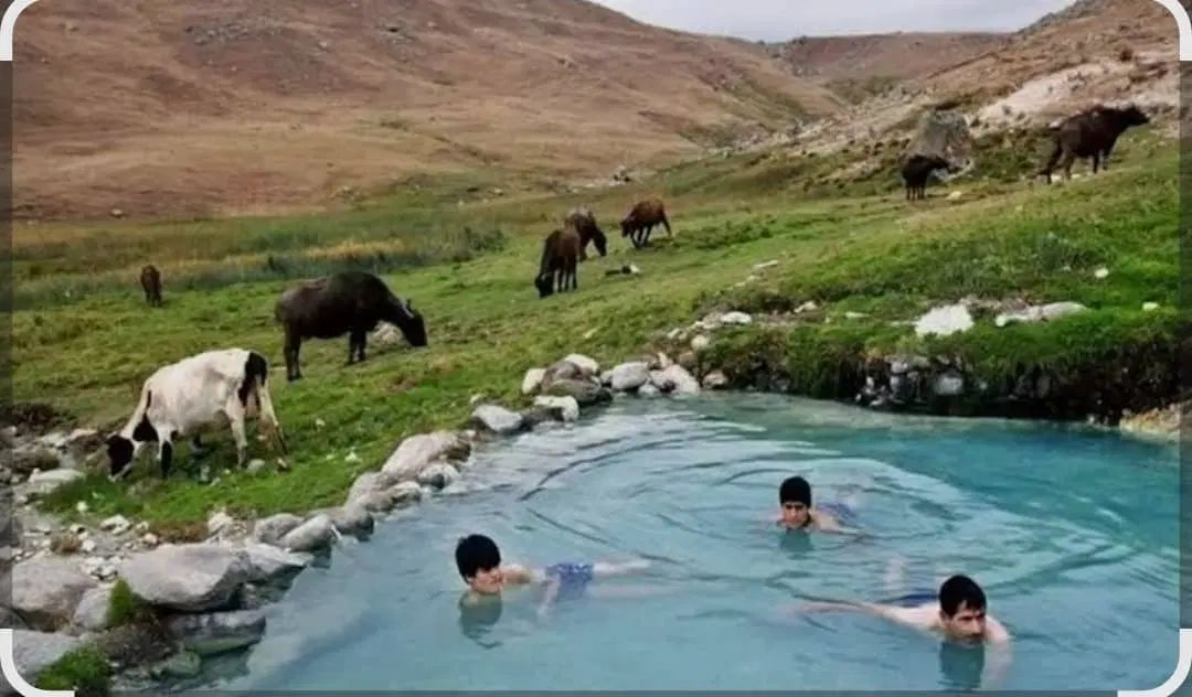 تورسرعین وآستاراحرکت یکشنبه۲۴شهریورماه وبرگشت ۲۴|تور و چارتر|تبریز, |دیوار