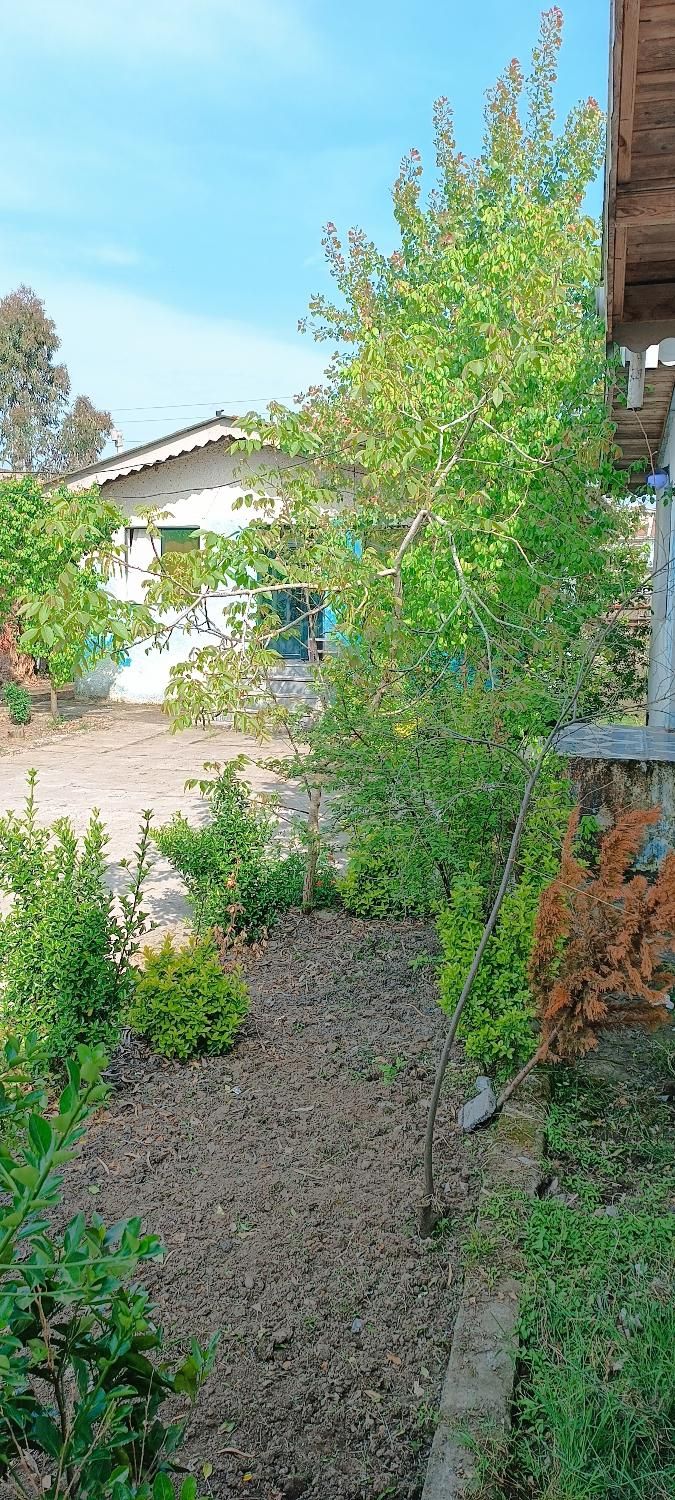 سویت ویلا روزانه شبانه کوتاه مدت دریا کنار|اجارهٔ کوتاهمدت ویلا و باغ|رشت, معلم|دیوار