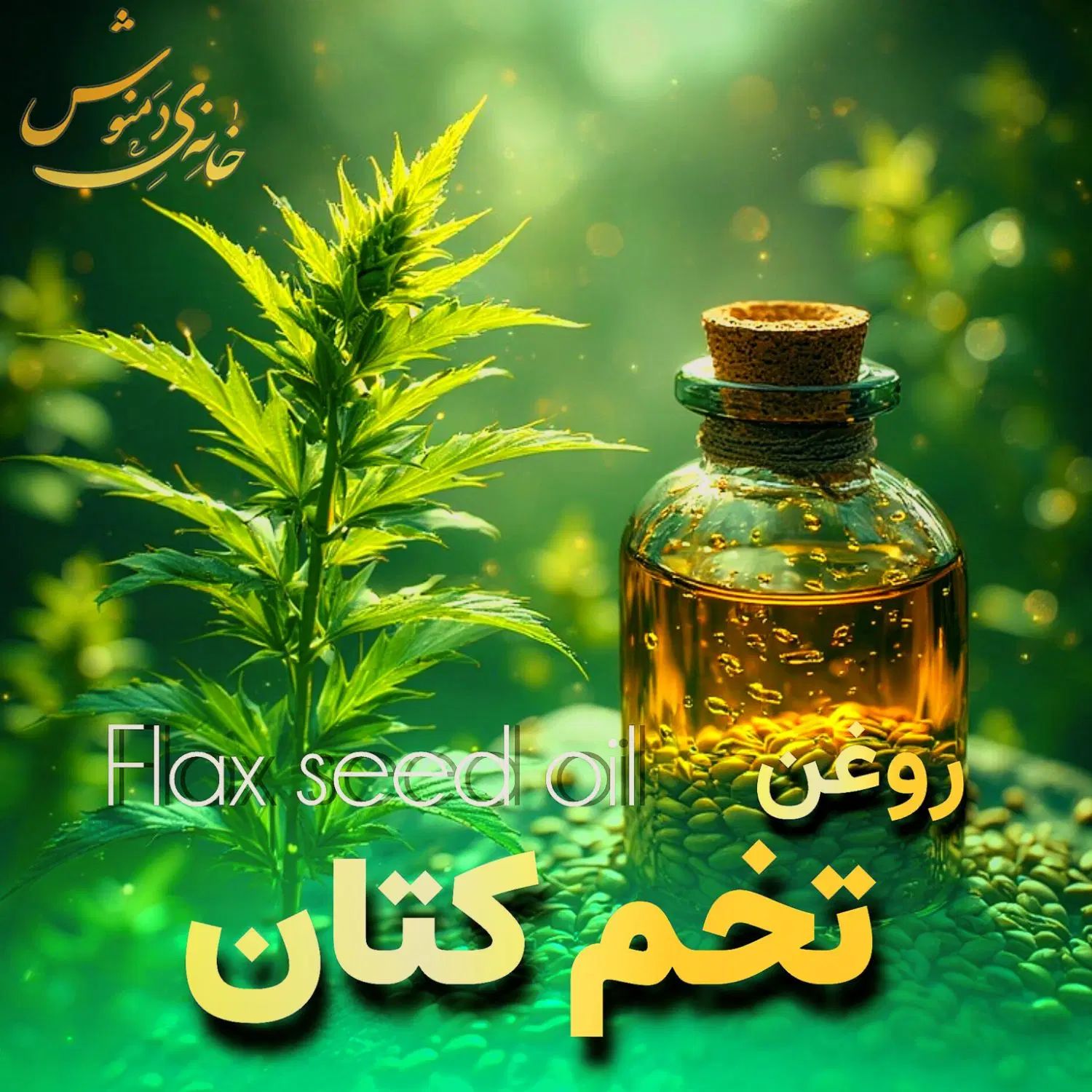 روغن خالص تخم کتان برای لاغری موضعی|آرایشی، بهداشتی، درمانی|رشت, آزادگان|دیوار