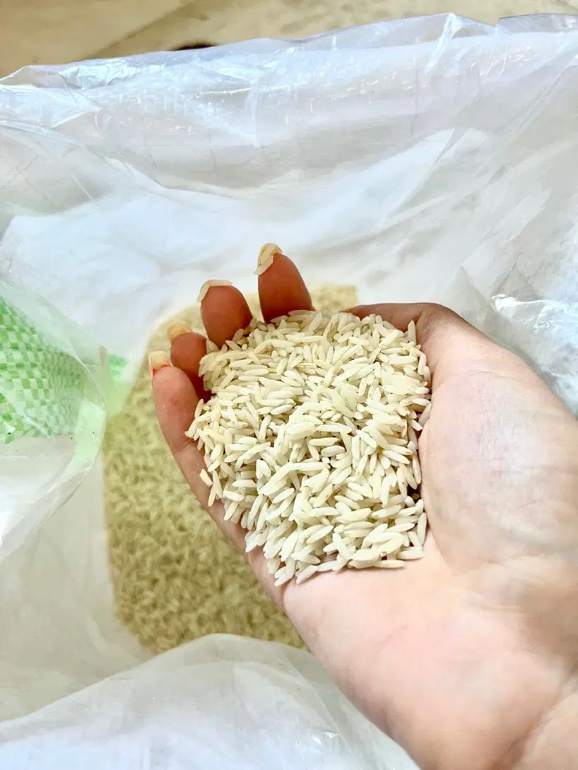 فروش انواع برنج هاشمی وغیره ایرانی بدون واسطه|خوردنی و آشامیدنی|رشت, سعدی (تختی)|دیوار