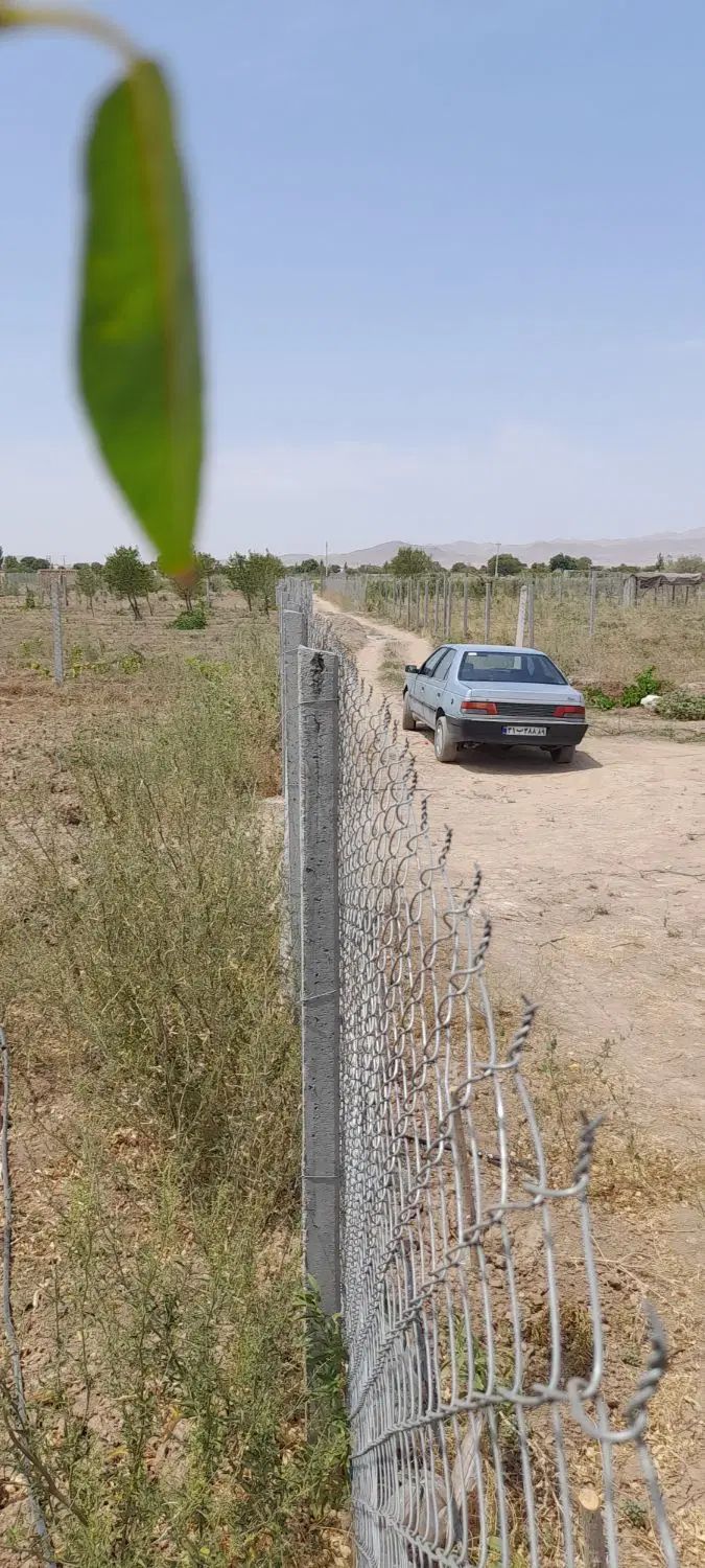 متری ۲۸۰ هزار تومن زمین باغی|فروش دفتر صنعتی، کشاورزی، تجاری|کرج, کوی امامیه|دیوار