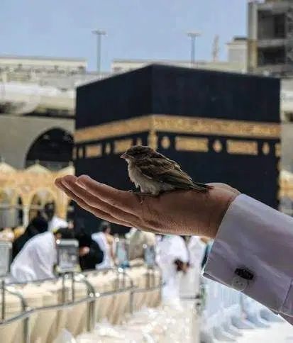 فروش ۲ فیش حج تمتع(واجب) رشت اعزام خرداد ۱۴۰۵|تور و چارتر|رشت, حاجی آباد|دیوار