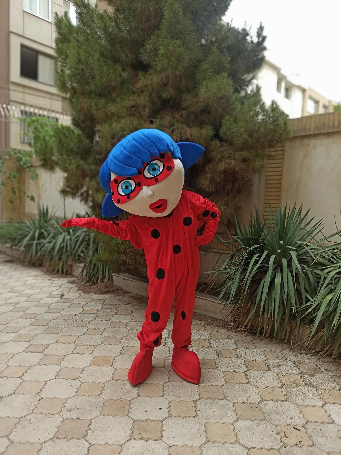 تن پوش عروسکی و عروسک فکزن|اسباببازی|تهران, بازار|دیوار