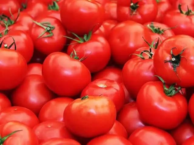 گوجه ربی|حراج|خان ببین, |دیوار