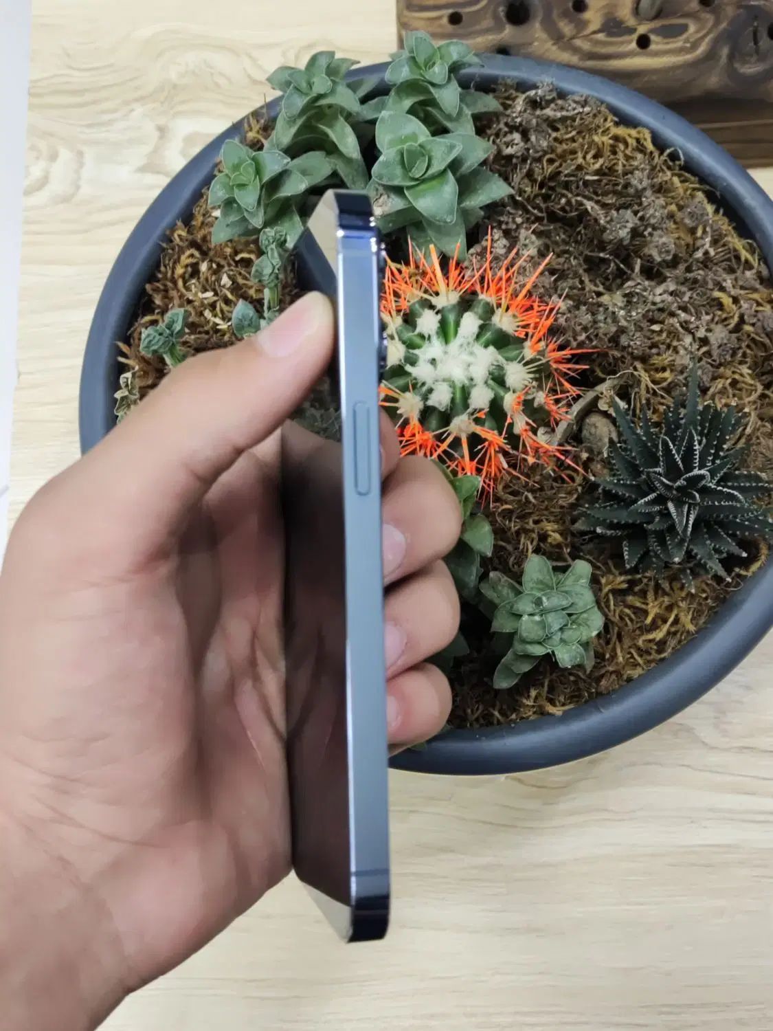 iphone 13 pro|موبایل|کرج, اصفهانی‌ها|دیوار