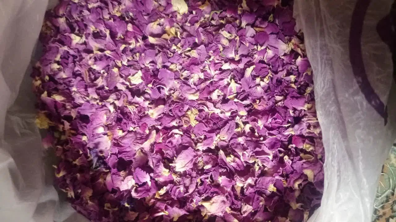 گل بنفشه خشک خالص آویشن خالص کمادون گل ختمی و...|خوردنی و آشامیدنی|کاشان, دروازه فین|دیوار