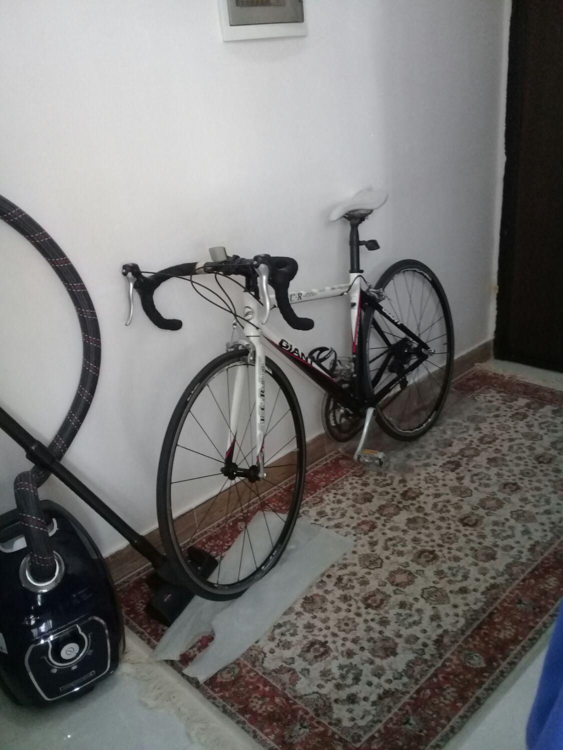 دوچرخه کورسی جاینت|دوچرخه، اسکیت، اسکوتر|رشت, گلسار|دیوار