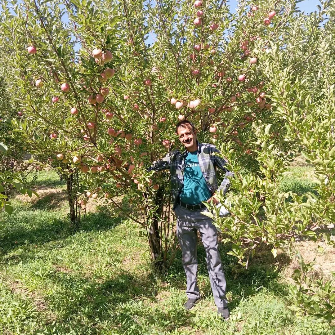 باسلام‌هرس‌درختان‌بصورته‌حرفه‌‌ایی‌درخدمت‌هنشهریا‌|خدمات باغبانی و درختکاری|قزوین, |دیوار