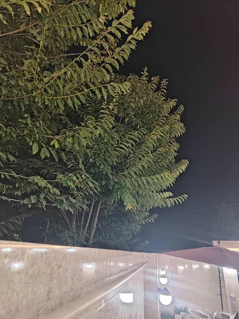 پلاک های مسکونی  باغی کلنگی ویژه مبین بالو|فروش زمین و ملک کلنگی|گوراب زرمیخ, |دیوار