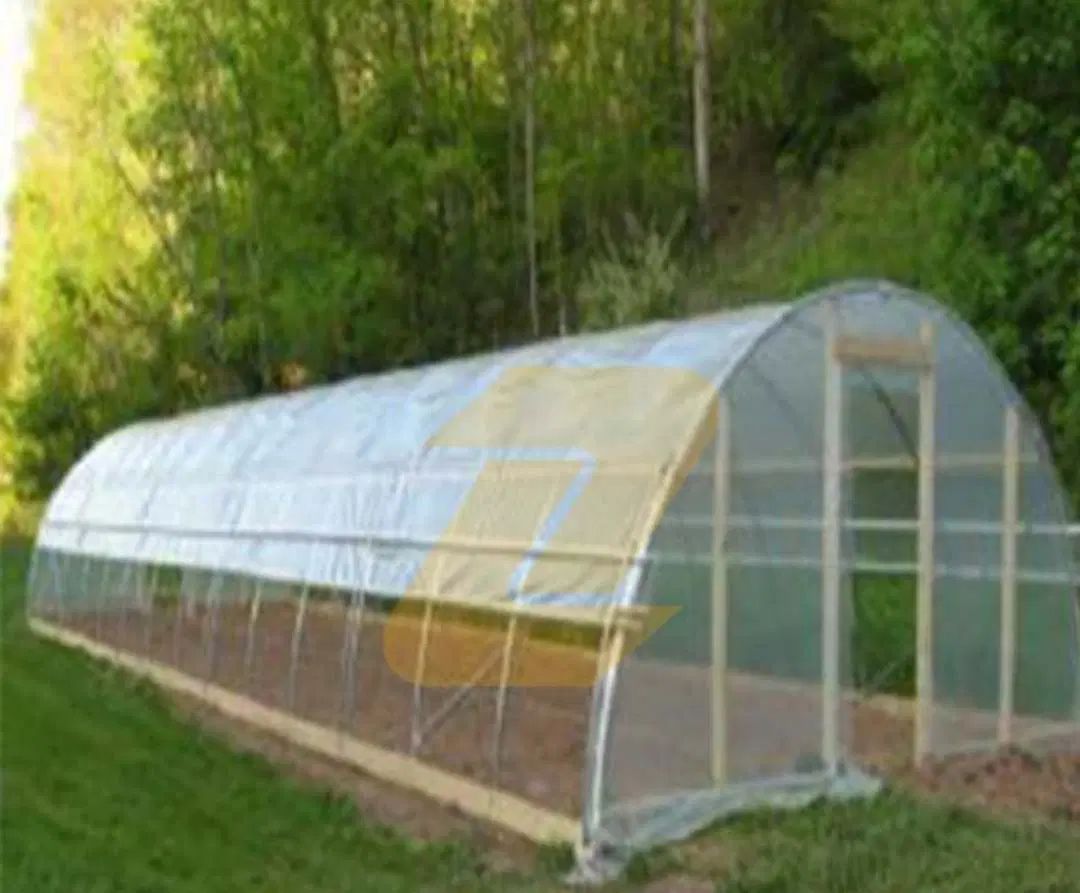 نایلون عریض و حبابدار سبز و شیشه‌ای عمده بازار|عمده‌فروشی|تهران, بازار|دیوار