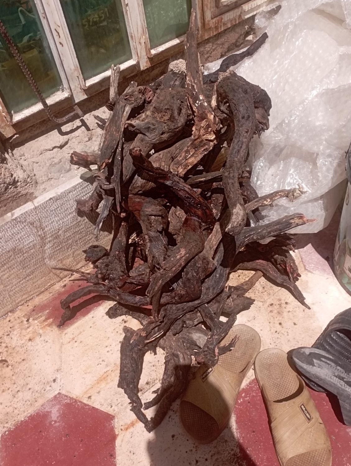 ریشه و تنه درخت آبنوس|ماهی|شیراز, شهرک سراج|دیوار