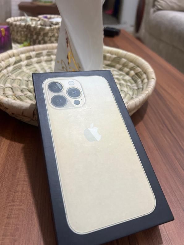 اپل iPhone 13 Pro با حافظهٔ ۲۵۶ گیگابایت|موبایل|بندرعباس, |دیوار