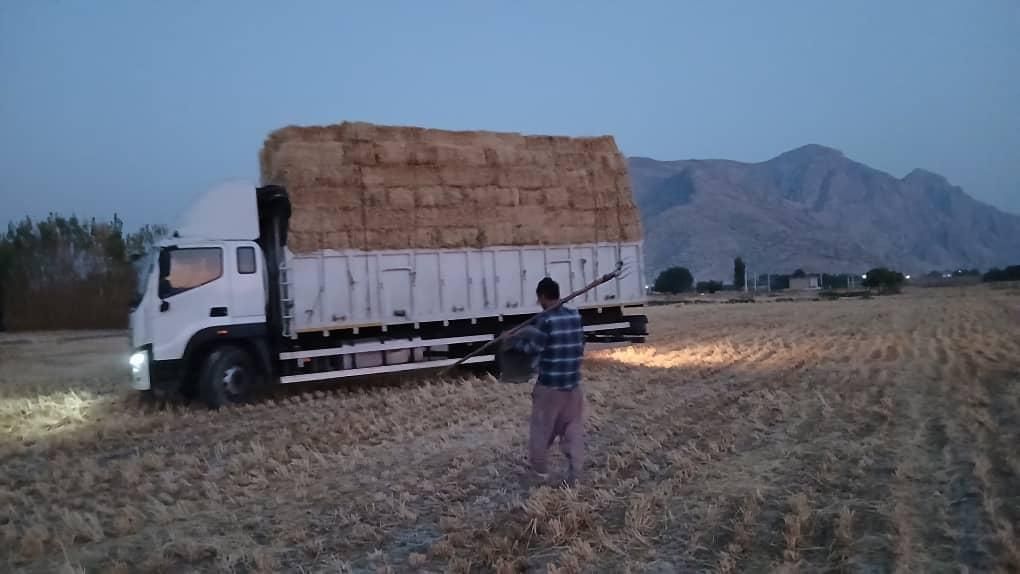 خرید و فروش یونجه پرس،کاه پرس(قالبی)|لوازم جانبی حیوانات|شیراز, گل سرخ|دیوار