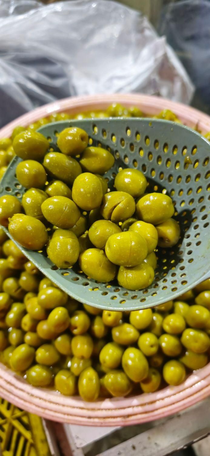 انواع زیتون طارم کیلویی 40|خوردنی و آشامیدنی|رشت, جهاد|دیوار
