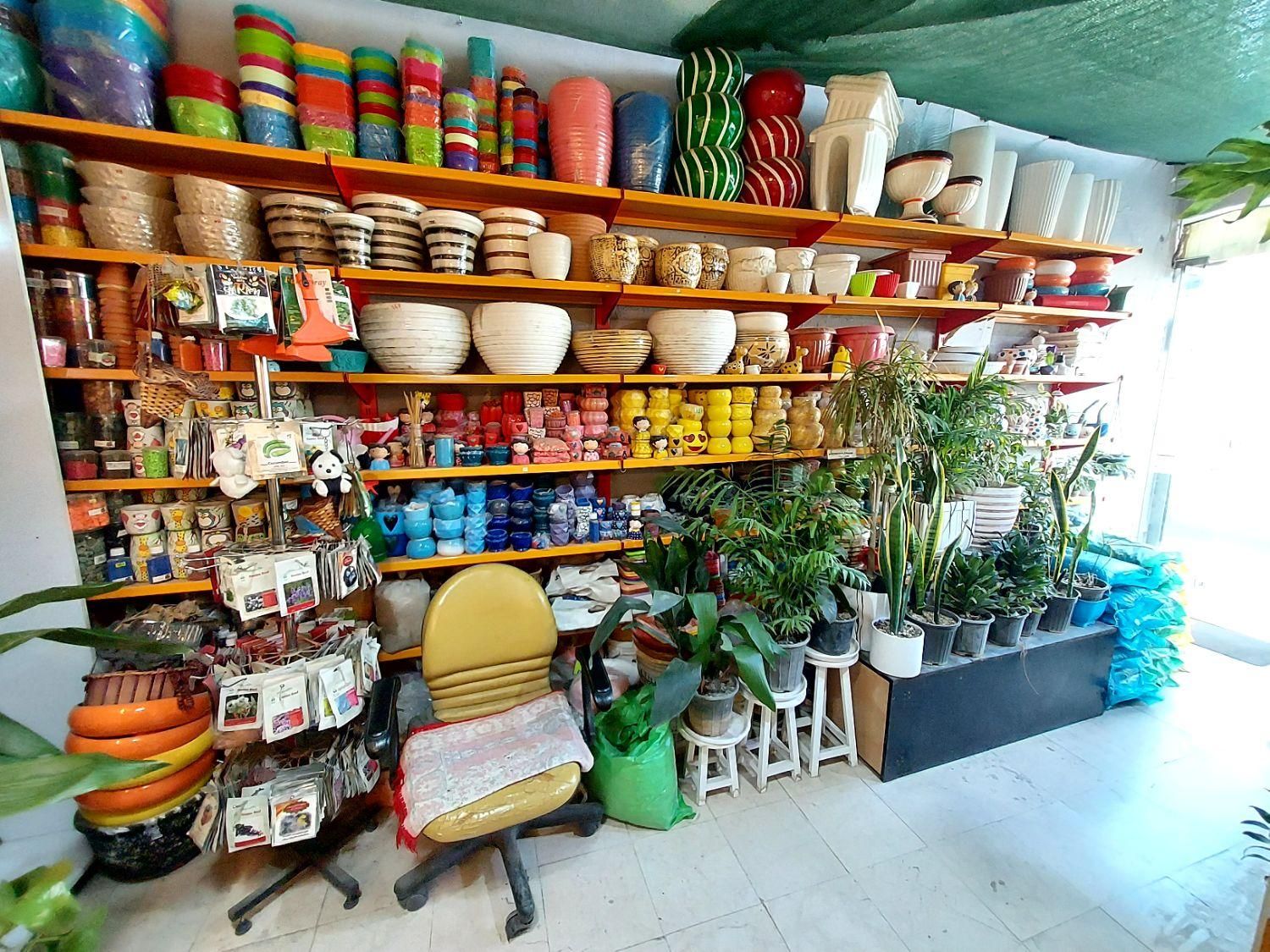 واگذاری اجناس مغازه گلفروشی گیاهان آپارتمانی|گل و گیاه طبیعی|کرج, حسین‌آباد|دیوار