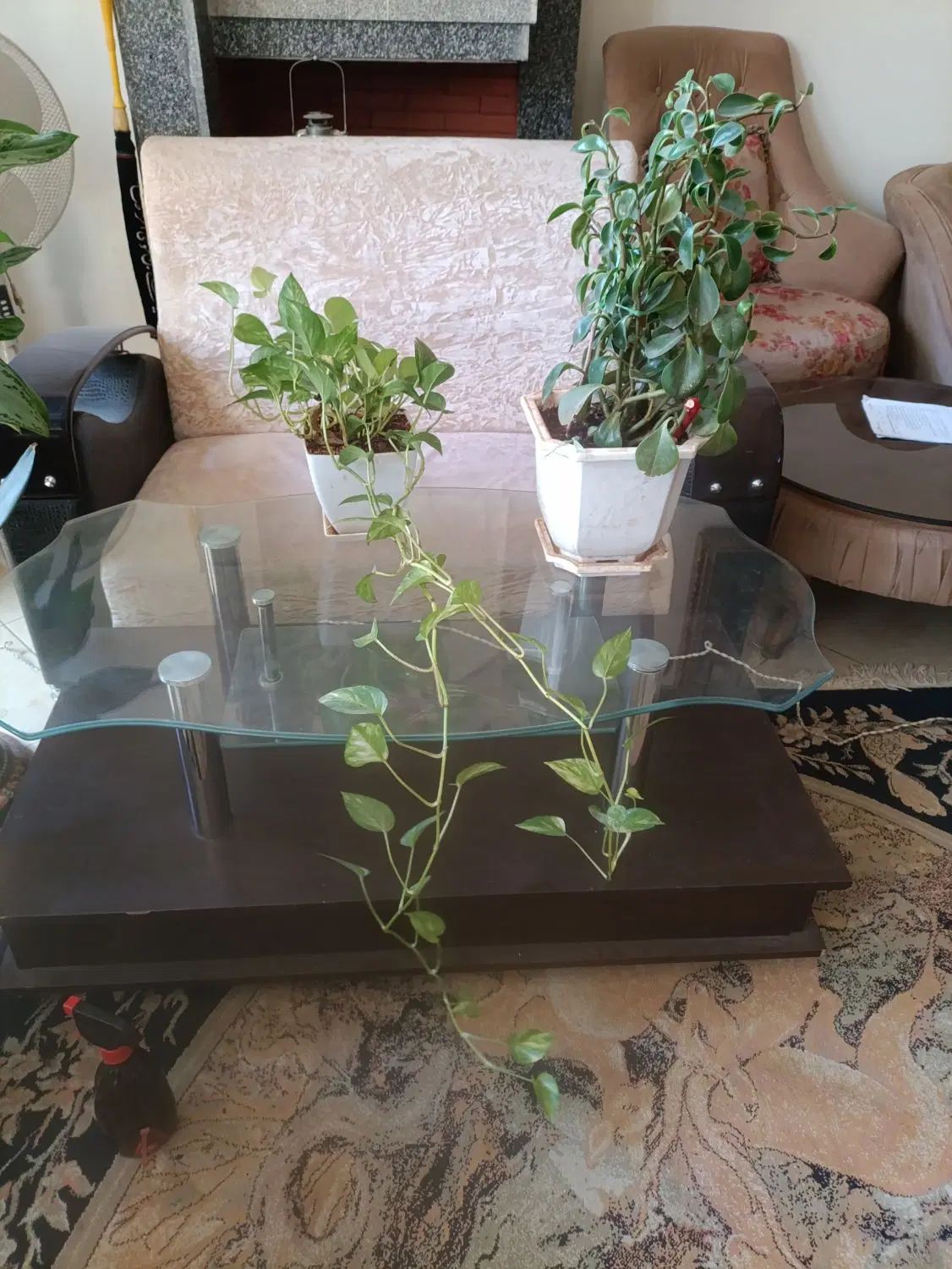 سه تا گل|گل و گیاه طبیعی|مشهد, هنرستان|دیوار