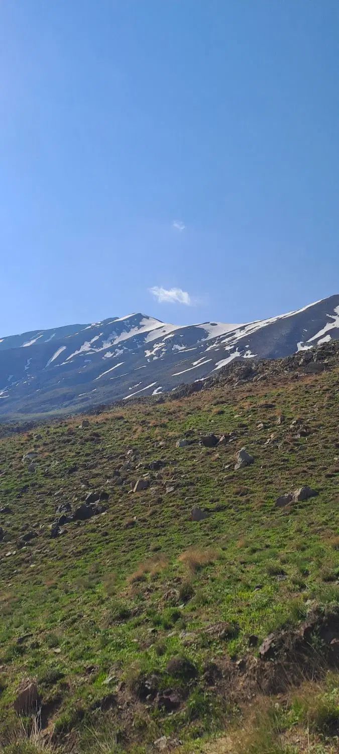 سوال دارم|فعالیت داوطلبانه|تهران, جنت‌آباد جنوبی|دیوار