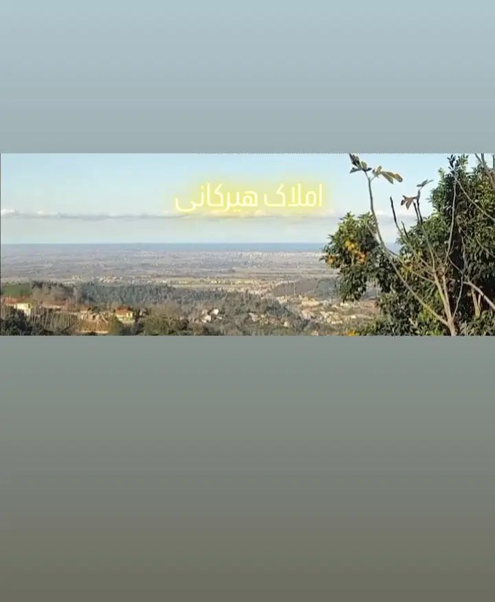 فروش و تهاتر زمین ۳۰۰۰ متری ویو جنگل دریا|فروش زمین و ملک کلنگی|رانکوه, |دیوار