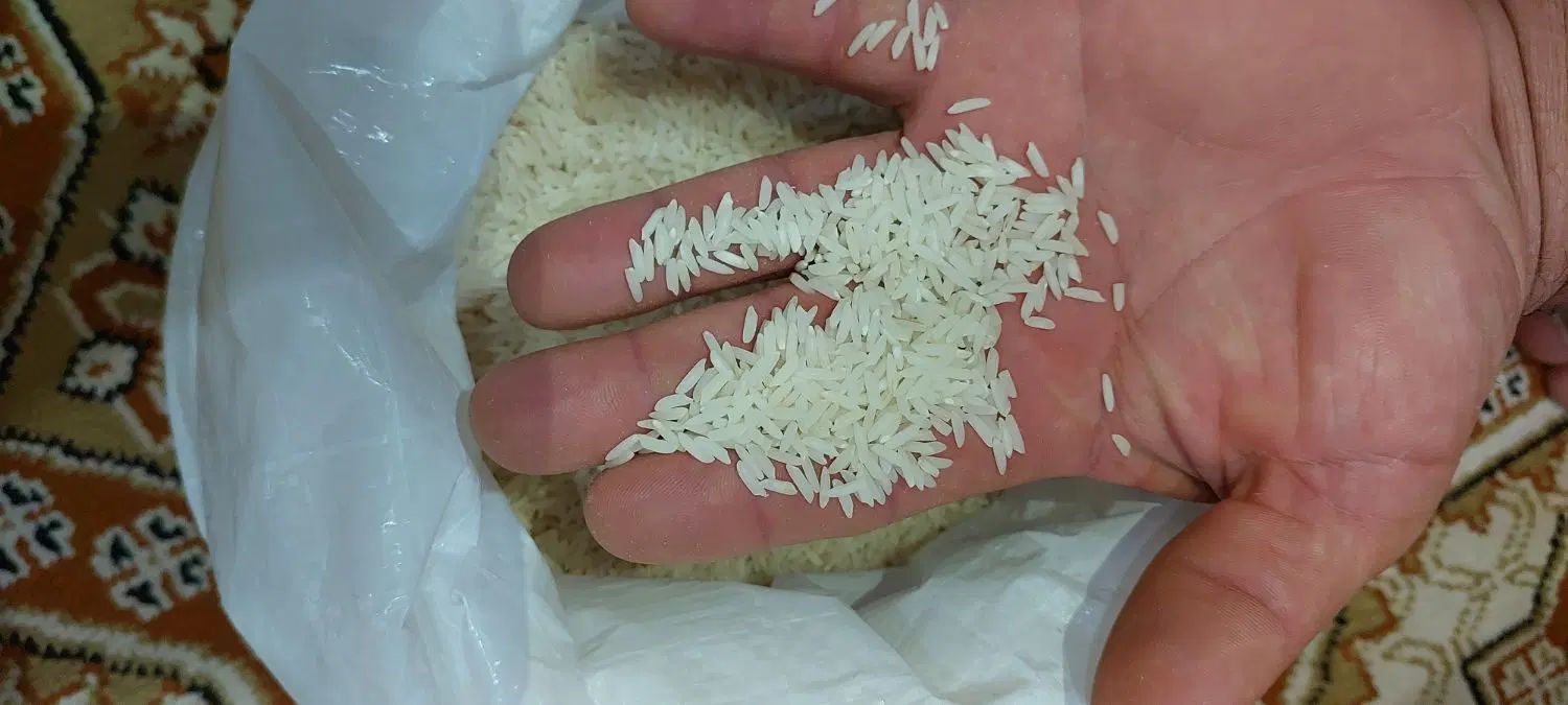 برنج‌هاشمی‌درجه‌۱محصول۱۴۰۴|خوردنی و آشامیدنی|رشت, گلباغ نماز|دیوار