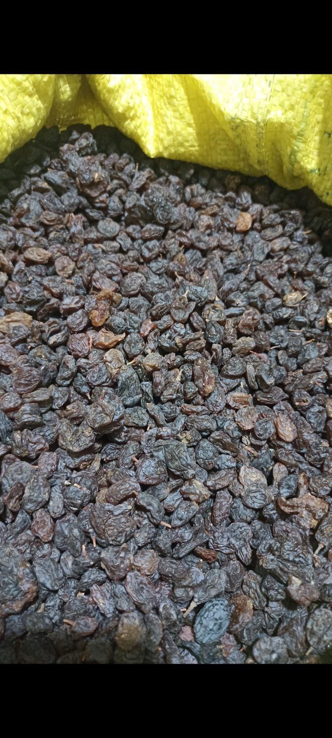 آفتابی قندبالا( تاکستان)|عمده‌فروشی|تهران, جمال‌زاده|دیوار