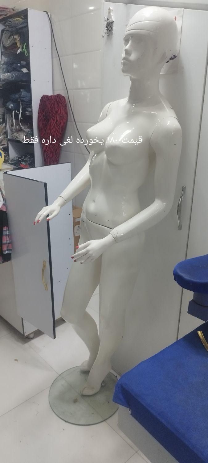 پیشخوان.مانکن قفسه.استند.|فروشگاه و مغازه|قم, سید معصوم|دیوار