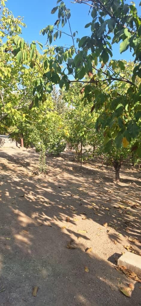 باغ ویلا فروشی|فروش زمین و ملک کلنگی|پردیس, فاز ۴|دیوار