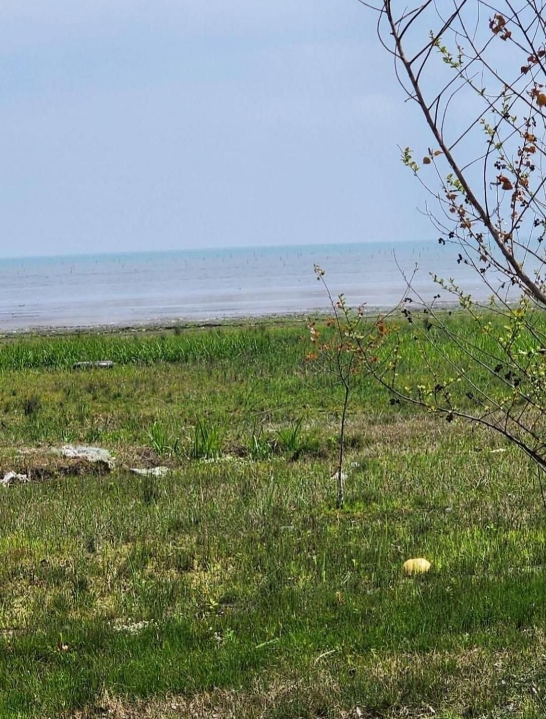 فروش زمین کنار دریا آستارا تک برگ قیمت مناسب|فروش زمین و ملک کلنگی|آستارا, |دیوار