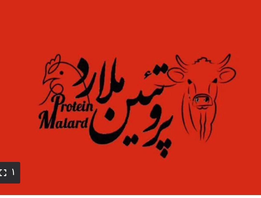 اشپز|استخدام خدمات فروشگاه و رستوران|محمدشهر, |دیوار