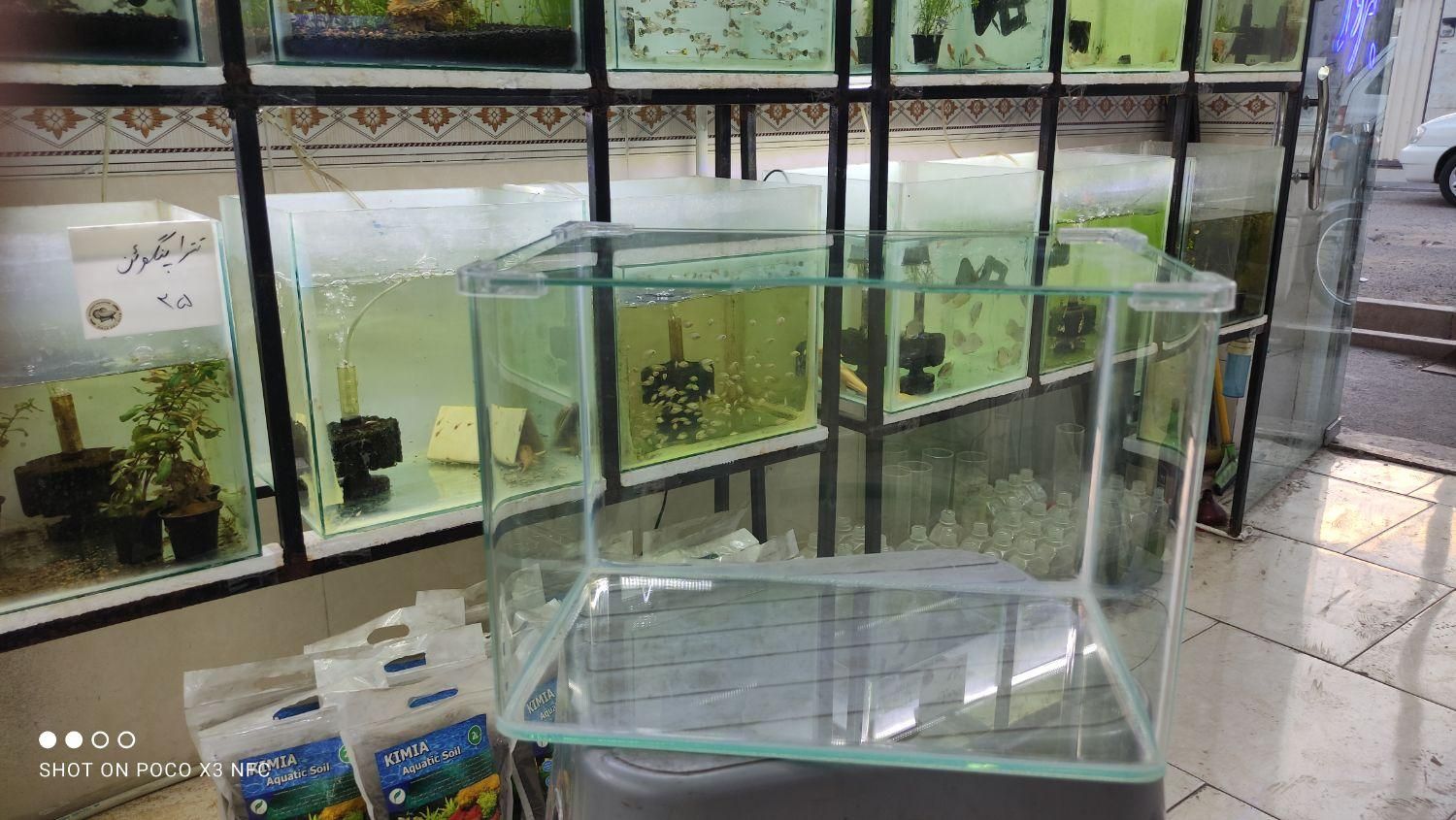 آکواریوم شیشه خم حراج / آکواریوم بهروز|ماهی|زنجان, |دیوار