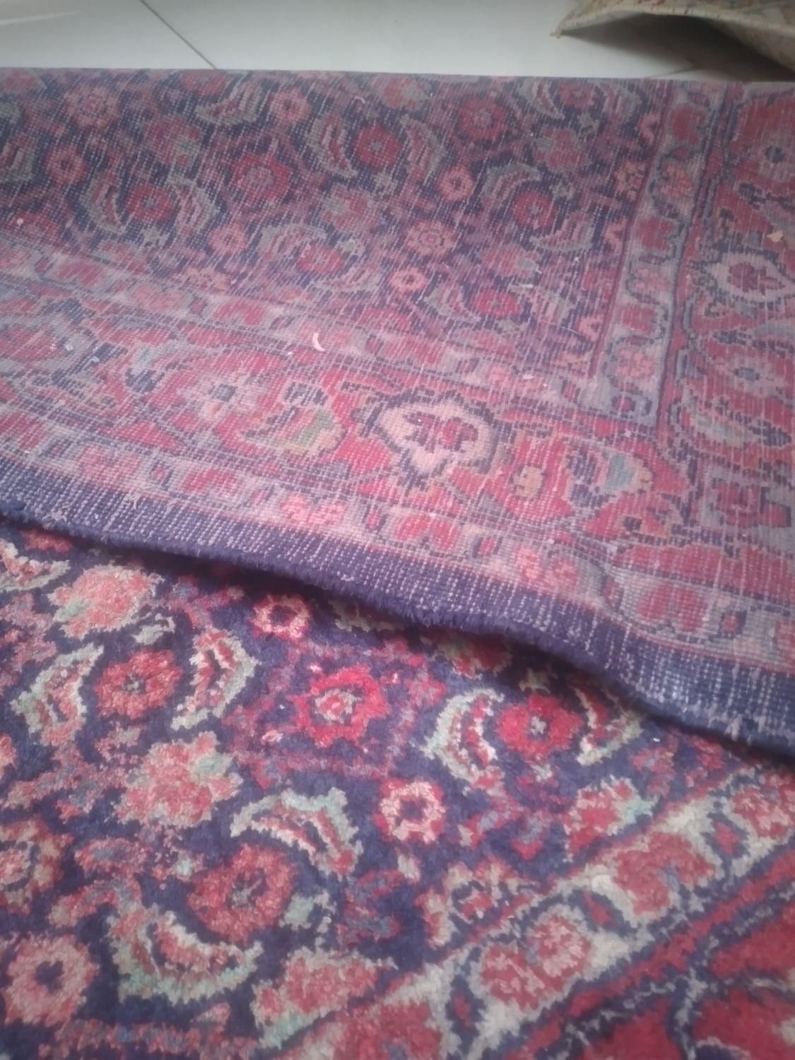 فرش دستباف قدیمی بسیار سالم|فرش|خرم‌آباد, |دیوار