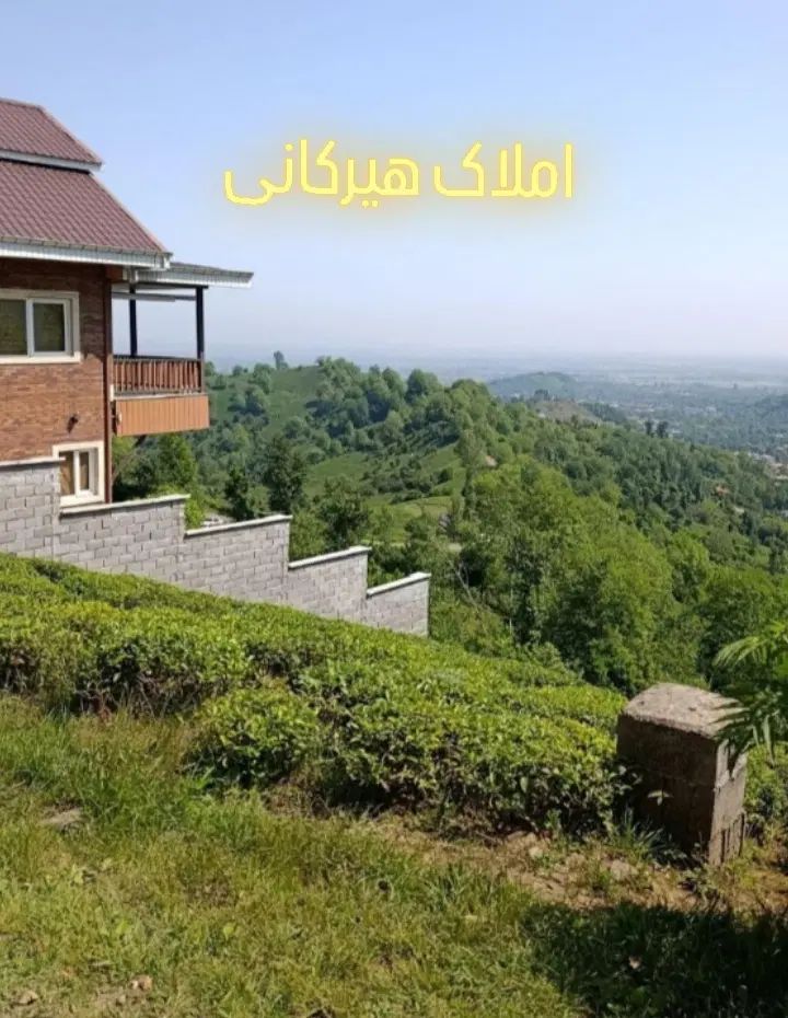 فروش و تهاتر زمین ۳۰۰۰ متری ویو جنگل دریا|فروش زمین و ملک کلنگی|رانکوه, |دیوار