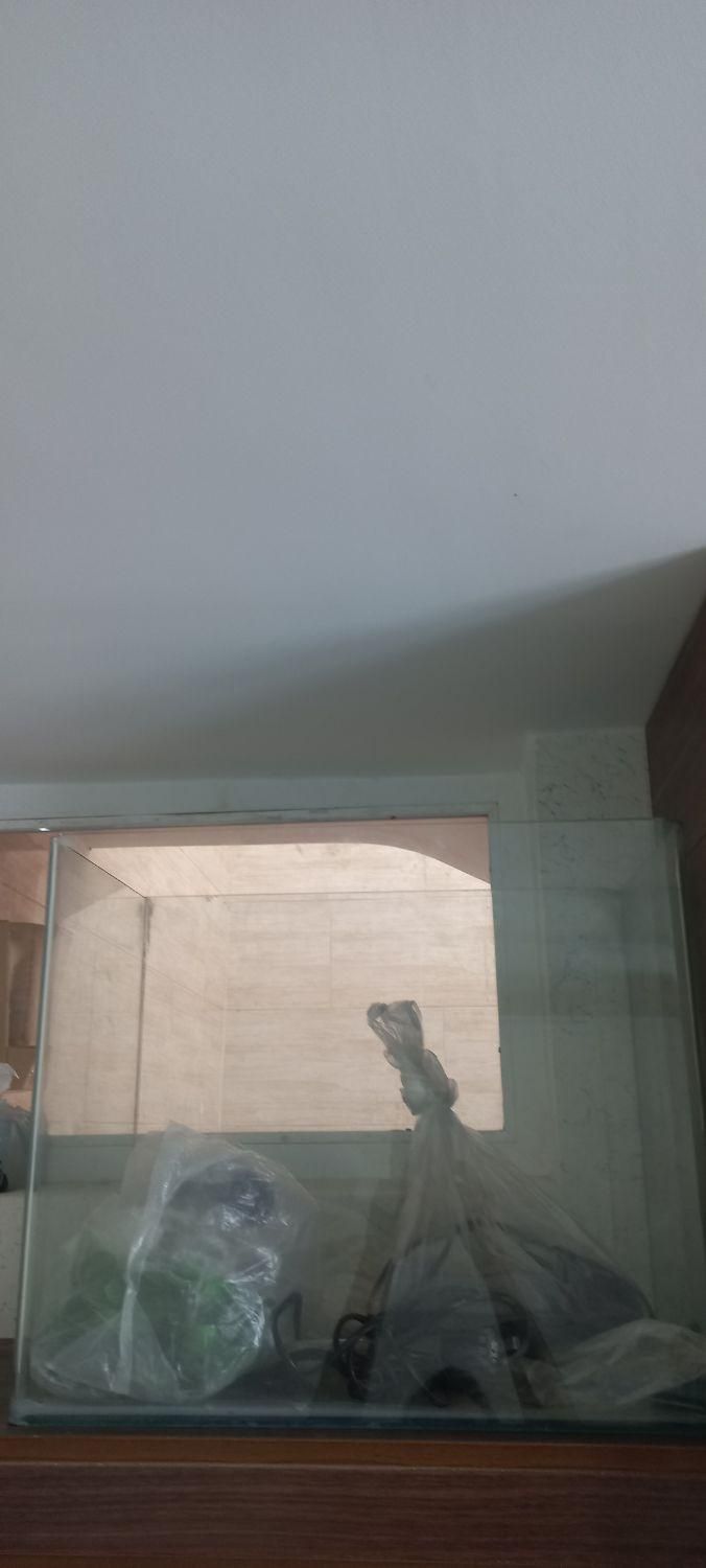 آکواریوم شیشه خم|ماهی|اصفهان, شیخ اشراق|دیوار