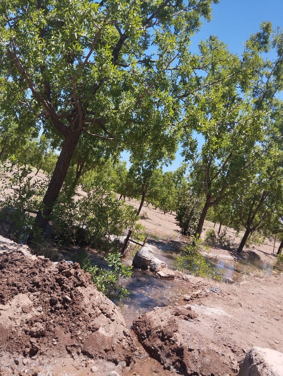 تصویر 5