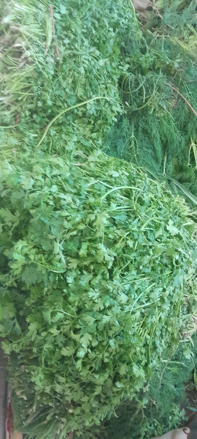 سبزی‌‌خرشت‌وماهی|عمده‌فروشی|برازجان, |دیوار