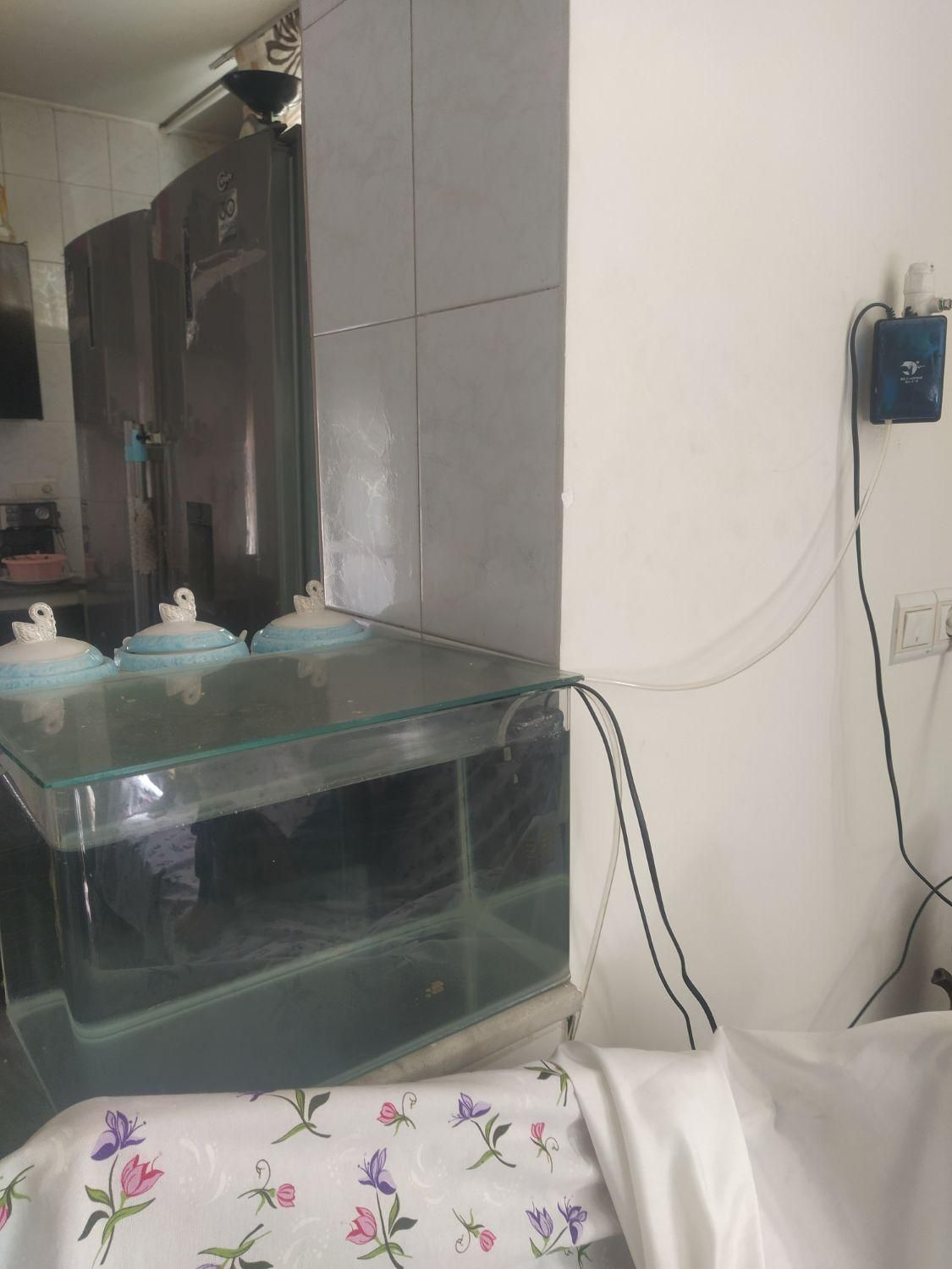 آکواریوم|ماهی|ساوه, |دیوار