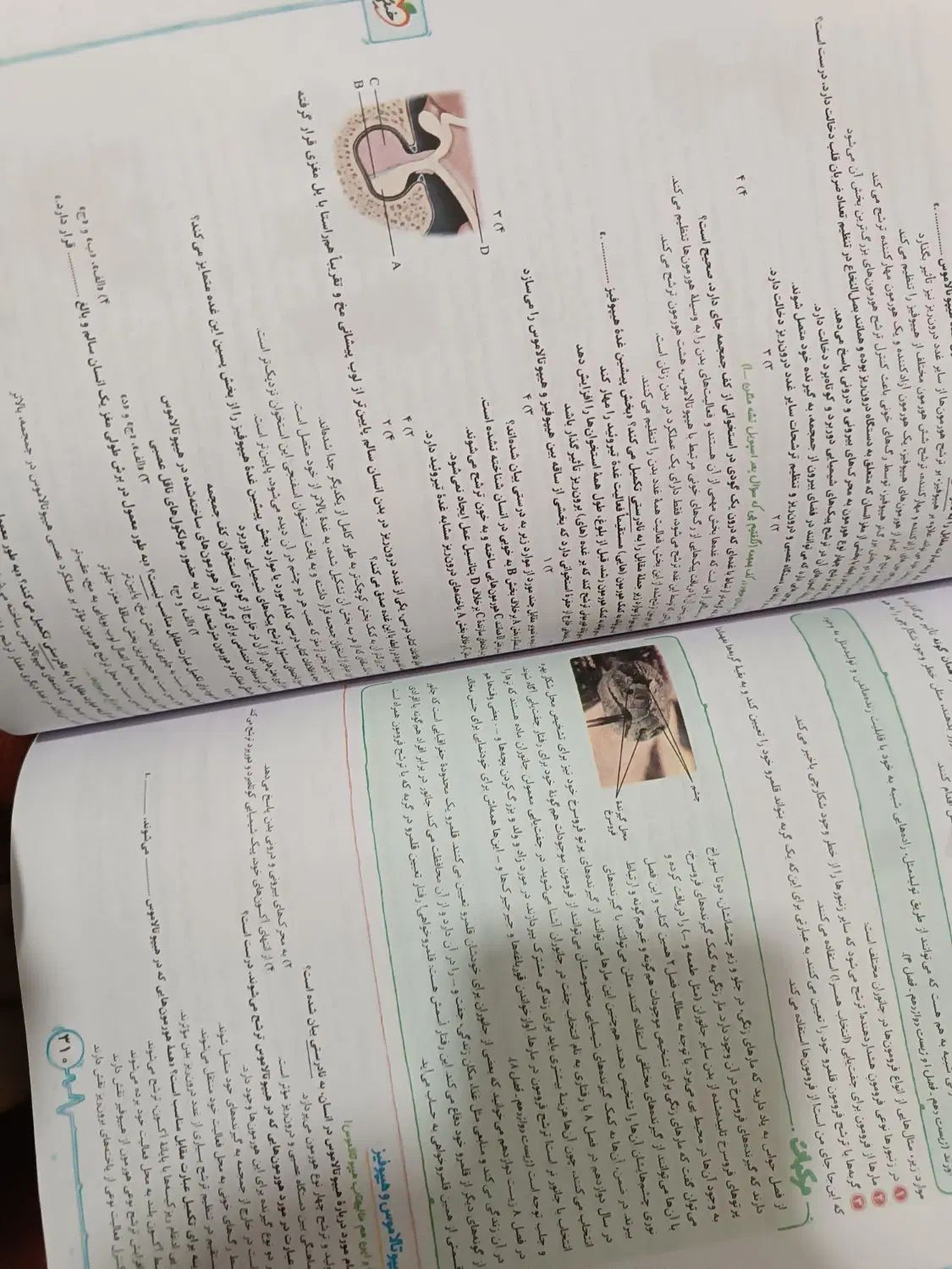 کتاب زیست خیلی سبز یازدهم|کتاب و مجله آموزشی|مشهد, وحید|دیوار