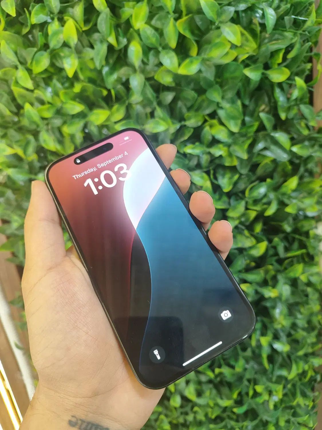 اپل (اقساطی)iPhone 15 با حافظهٔ ۱۲۸ گیگابایت|موبایل|همدان, |دیوار