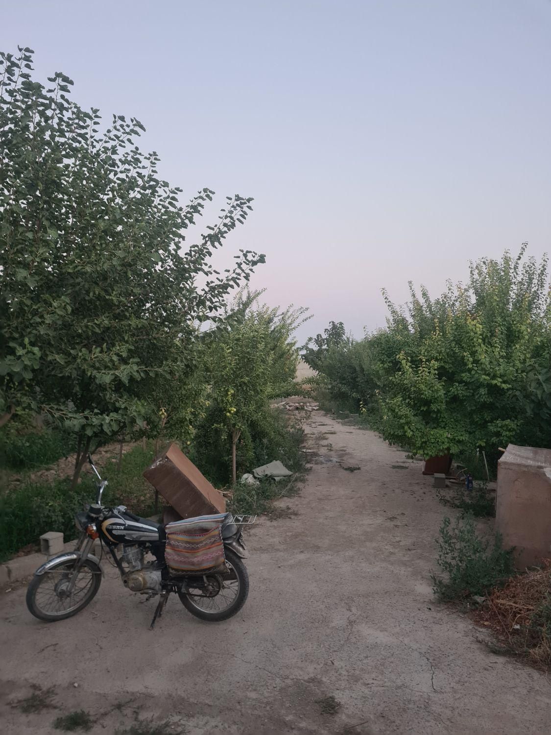 باغ 1200متری انتهای بلوارکشمیری مهرگان رسالت|فروش خانه و ویلا|مشهد, تبادکان|دیوار