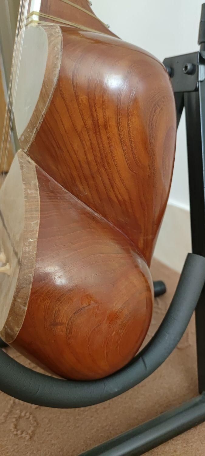 تار ۳/۴ مهر گلزار|سازهای سنتی|مبارکه, |دیوار