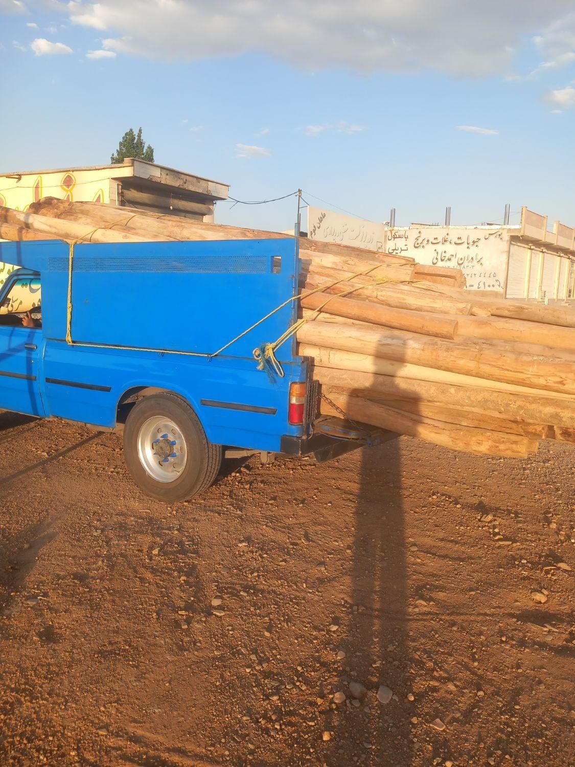 خریدانواع چوب خشک و تر|خدمات باغبانی و درختکاری|زنجان, |دیوار