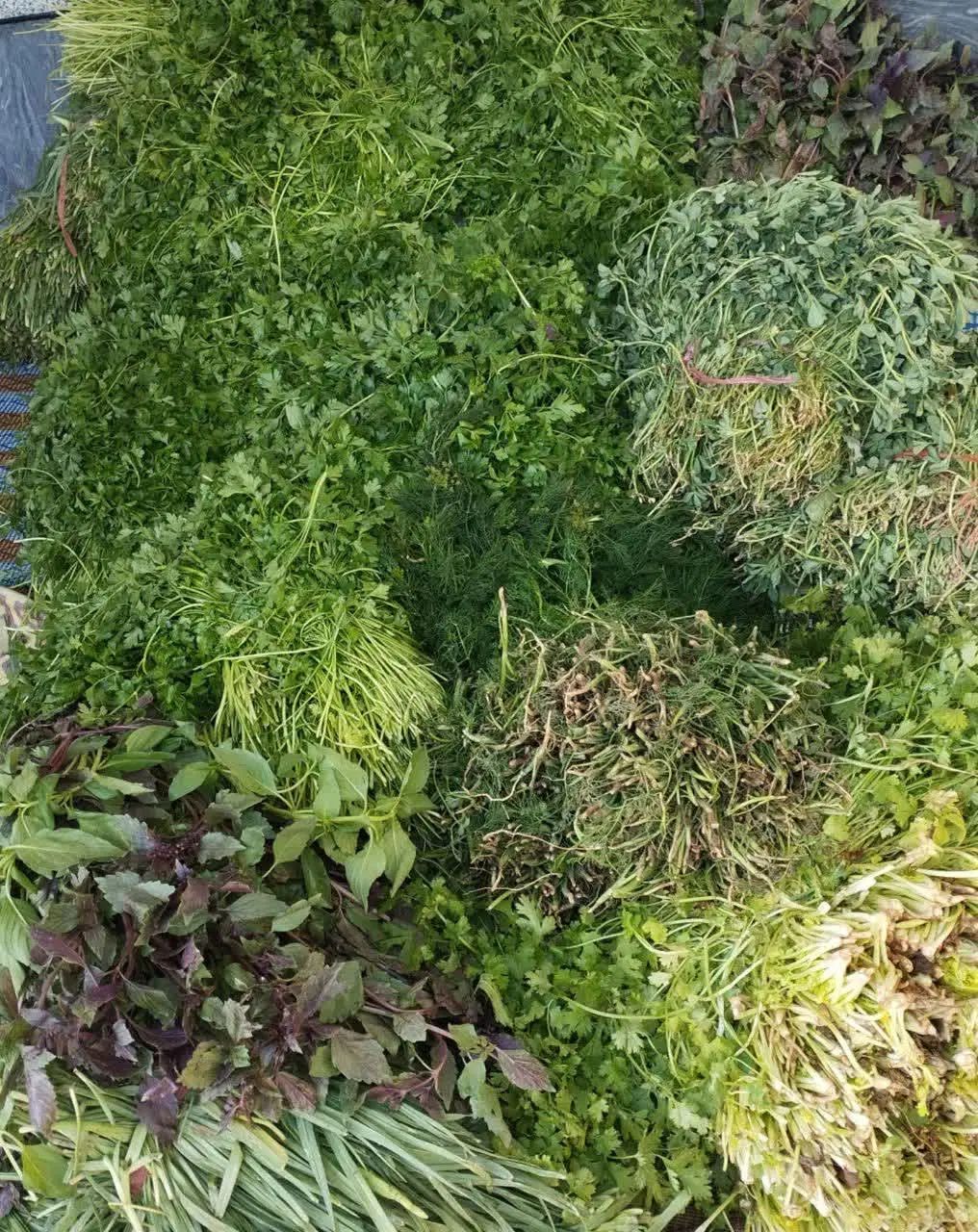 سبزی قرمه پرسرخ با بهترین کیفیت|خوردنی و آشامیدنی|تهران, بیسیم|دیوار