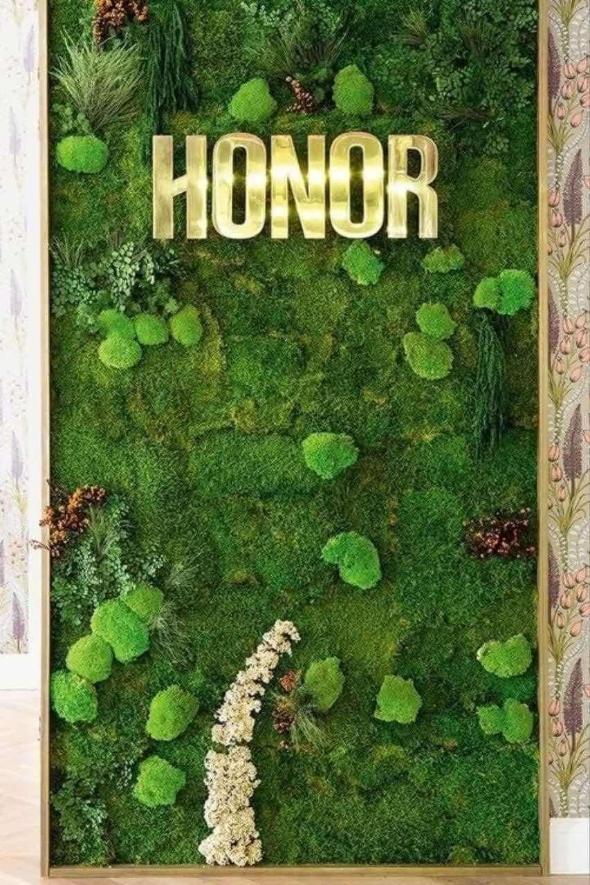 ماس وال/ Mossy nature سازگار با محیط زیست|گل مصنوعی|تهران, زعفرانیه|دیوار