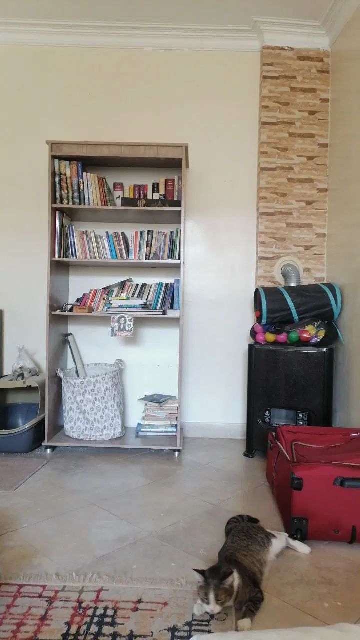 قفسه کتاب|کتابخانه، شلف، قفسه‌های دیواری|تهران, امجدیه (خاقانی)|دیوار