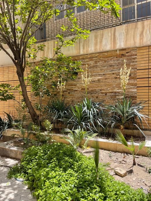 زمین با پروانه ساخت ۴طبقه روی پیلوت|فروش زمین و ملک کلنگی|اصفهان, جوزدان الیادران|دیوار